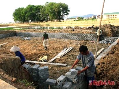 Chuyển đổi đất lúa xây công trình: Đồng tình vì sự phát triển