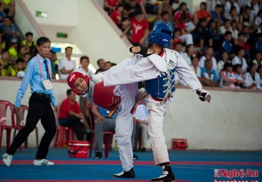 Gần 700 VĐV thi đấu đấu môn Taekwondo