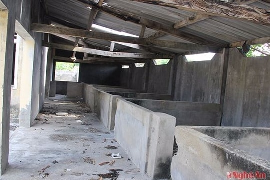 Cơ sở giết mổ tiền tỷ thành 'nhà vệ sinh' công cộng