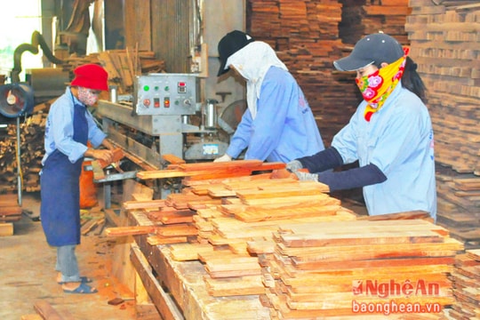 Nghệ An có gần 800 doanh nghiệp thành lập mới