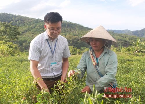Trăn trở, tâm huyết cùng đội ngũ trí thức trẻ