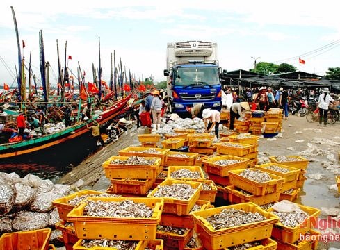 Tạo điều kiện để ngư nghiệp phát triển