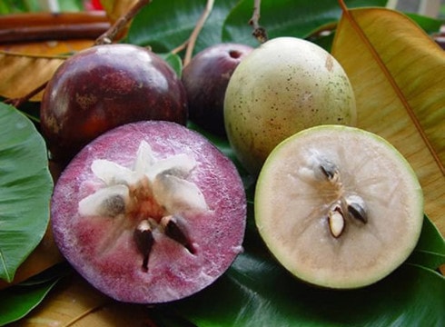 Vú sữa Việt Nam được thị trường Mỹ lựa chọn