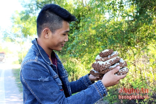 Độc đáo nghề săn ong rừng ở Nam Hưng