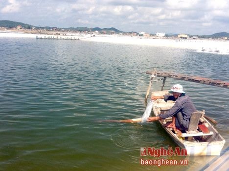 Đảm bảo hiệu quả nuôi tôm vụ 2