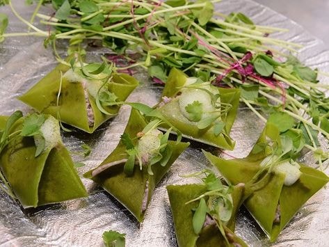 Cha mẹ có thể bị tù 6 năm nếu ép con ăn chay trường