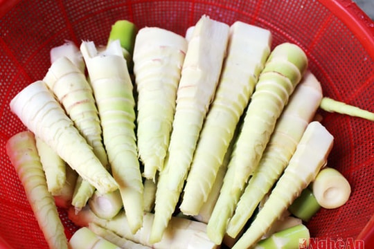 Lộc rừng mùa mưa