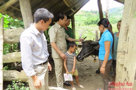 Cử tri Kỳ Sơn: Tăng cường công tác kiểm soát dịch bệnh gia súc, gia cầm