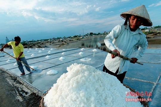 Thu nhập diêm dân chỉ 1 triệu đồng/tháng