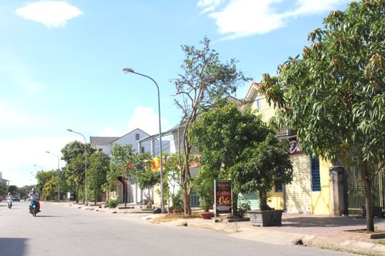 Trồng cây xanh công cộng: Phải theo quy chuẩn!