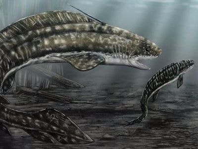 Cá mập mình lươn khổng lồ thời tiền sử ăn thịt con non