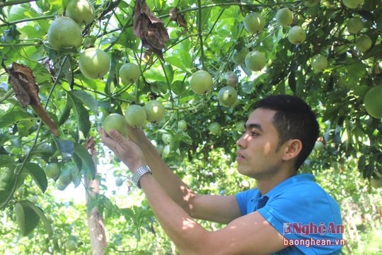 Tạo sinh kế  cho thanh niên vùng cao