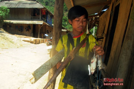 Mang thịt chuột đi hỏi vợ