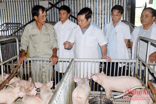 Trung ương Hội Nông dân tham quan mô hình trang trại 15 tỷ đồng/năm ở Nghệ An