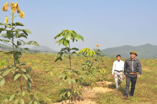 5 năm thực hiện chi trả dịch vụ môi trường rừng