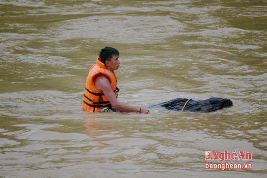 Người dân liều mình vớt củi trên sông Nậm Mộ