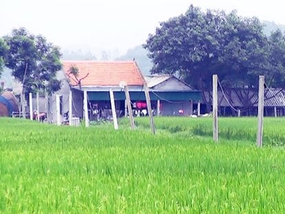 Cần xử lý nghiêm tình trạng xây nhà trên đất nông, lâm nghiệp