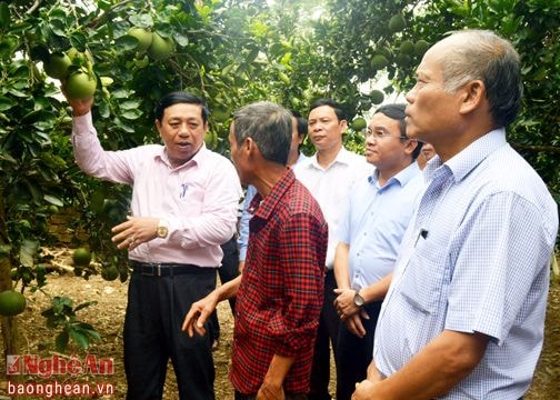 Chủ tịch UBND tỉnh Nguyễn Xuân Đường thăm và làm việc tại Đô Lương