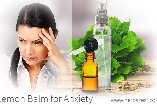 7 loại thảo dược xoá tan mọi căng thẳng