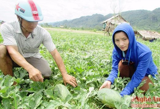 Nhiều mô hình tạo sinh kế bền vững cho người dân