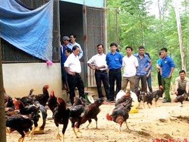 Nhiều trang trại tiền tỷ nhờ câu lạc bộ giúp thanh niên lập nghiệp