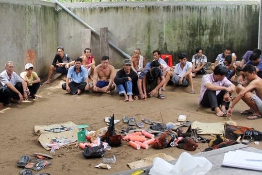 Phá hàng rào kẽm gai, bắt 21 người trong sới gà