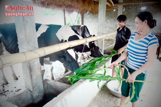 Những mô hình kinh tế hiệu quả ở Nghĩa Khánh