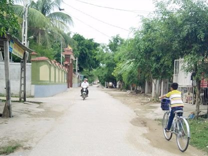 Bí thư chi bộ tận tâm với việc thôn