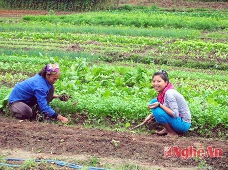'Dễ trước, khó sau', cách làm sáng tạo ở xã 30a
