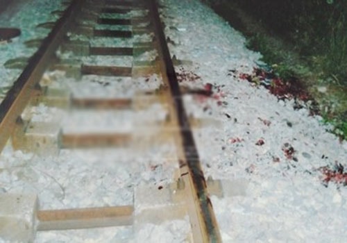 Thuê người chặt tay, chân để nhận 3,5 tỷ đồng tiền bảo hiểm