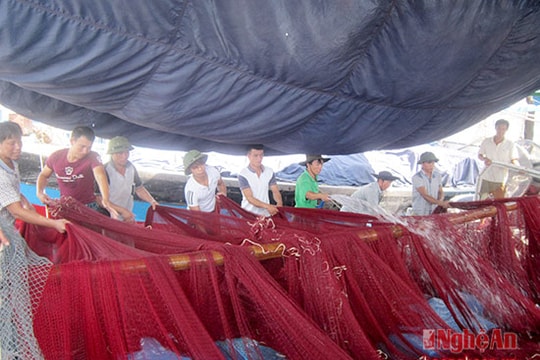 Quỳnh Lưu, duy trì hiệu quả 86 tổ khai thác trên biển