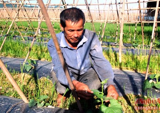 Thanh Chương: Sẵn sàng cho một vụ đông thắng lợi