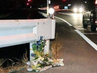 Mải chơi Pokemon Go, tài xế xe tải đâm chết người