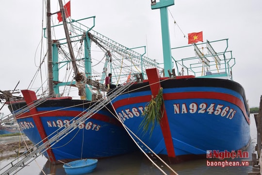 Đôn đốc thực hiện Nghị định 67, tích cực hỗ trợ ngư dân