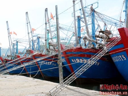 Quỳnh Lưu: Vị thế trọng điểm về kinh tế thủy sản