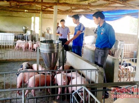 Giúp thanh niên gắn bó với quê hương