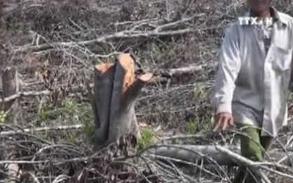 Một trưởng phòng Tài nguyên và Môi trường bị kỷ luật Đảng