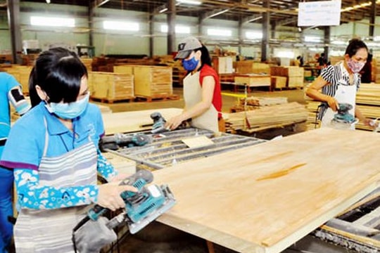 Nhiều doanh nghiệp bất ngờ báo lỗ hàng nghìn tỷ đồng