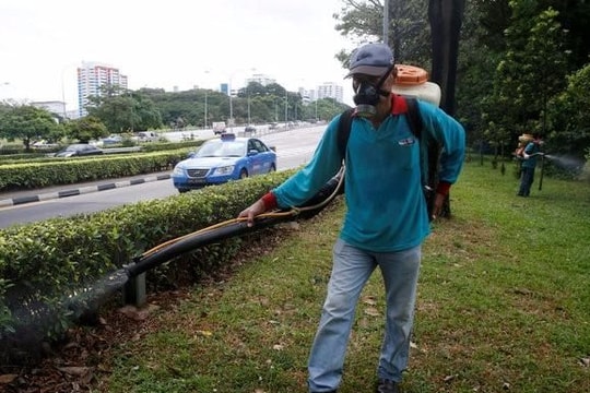 Singapore ban bố tình trạng lây lan virus Zika lên mức nguy hiểm