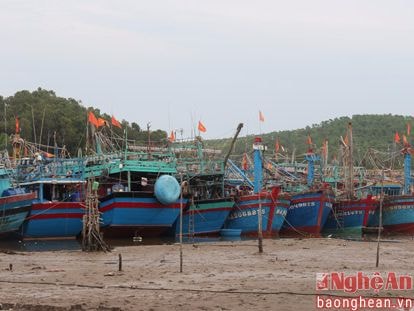 Ngư dân kêu trời vì thiếu nơi neo đậu tàu thuyền