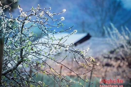 Miền Tây Nghệ An - Điểm đến lý tưởng cho những ai yêu khám phá