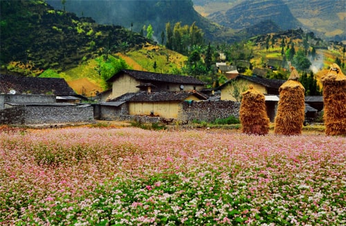 Vì sao khách Tây thích sống ở Việt Nam?