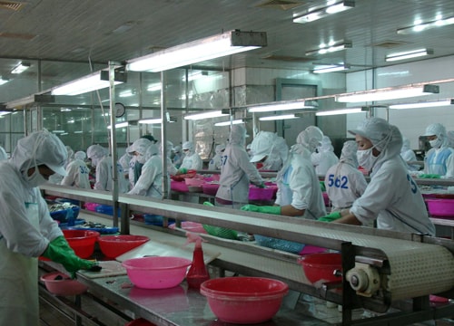 Khan hiếm nguyên liệu chế biến thủy sản