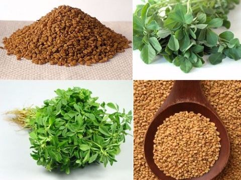 Bí quyết ngừa tóc bạc