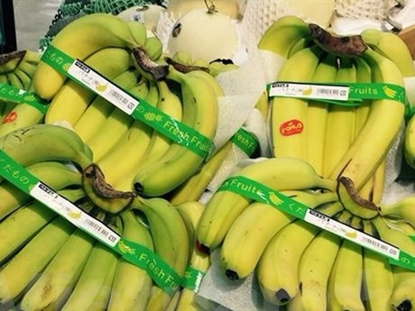 Chuối Việt Nam chiếm lĩnh hệ thống siêu thị toàn Nhật Bản