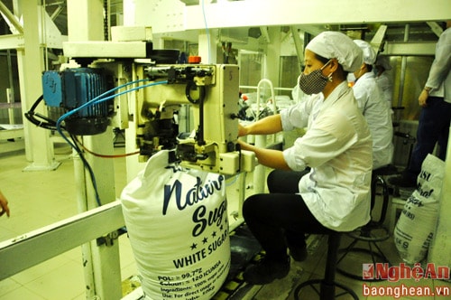 Gần 9.500 lượt người ở các xã miền Tây được đào tạo nghề miễn phí