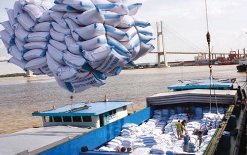 Indonesia không nhập khẩu gạo Việt Nam trong năm 2016