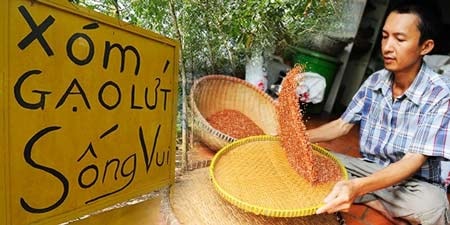 Mất mạng vì ăn cơm gạo lứt chữa ung thư