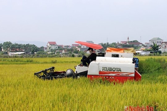 Xã thu tiền máy gặt lúa ở Yên Thành: Có hay không việc 'bảo kê' ?