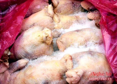 Thu giữ gần 140kg gà thịt đông lạnh không rõ nguồn gốc